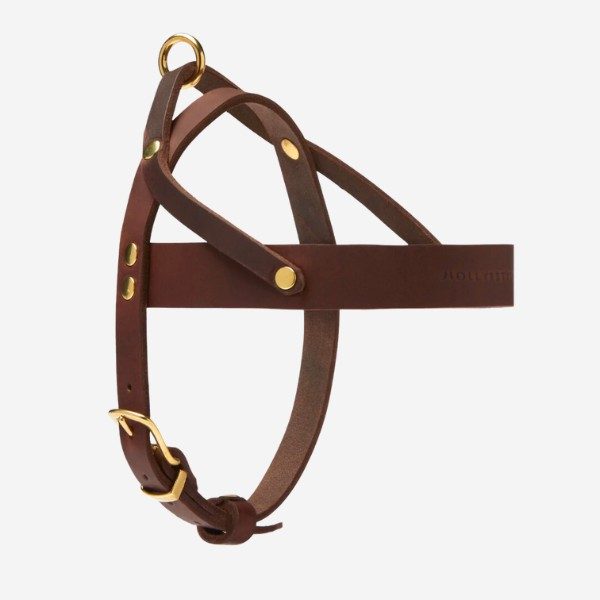 Butter Classic // Classic dog harness in soft leather (dark brown)