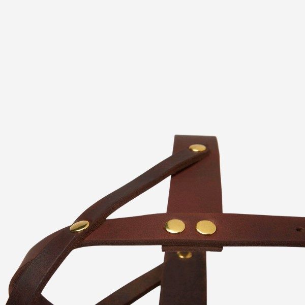 Butter Classic // Classic dog harness in soft leather (dark brown)