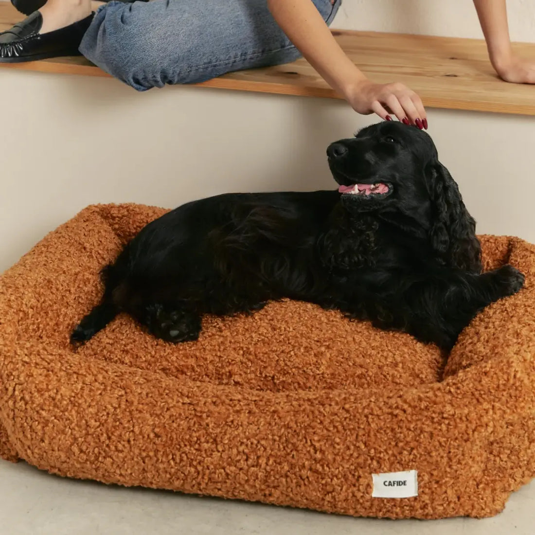 Cafide Snozy // Blød og vaskbar teddy hundeseng (sennep)