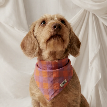 Cafide Bandana // Cotton dog bandana (vichy violet)