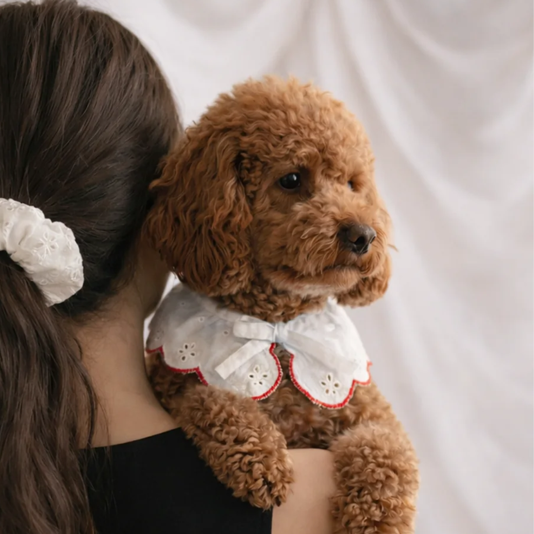 Cafide Neck Bow // Necktie for dogs (embroidery coral)
