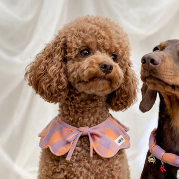 Cafide Neck Bow // Hals-sløjfe til hunde (violet vichy)
