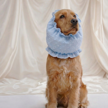 Cafide Snood // Protective Hood for Dogs with Long Ears (blue plumeti)