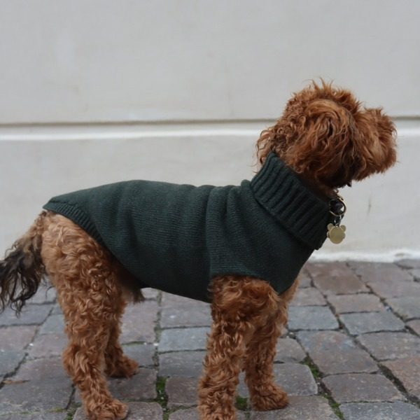 Calimar Sweater // Strikket hundesweater i uld (mørkegrøn)