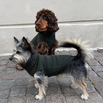 Calimar Sweater 2.0 // Strikket hundesweater i uld (grøn)