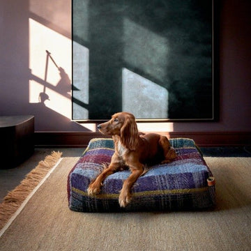 Cloud7 Cube // Luxury dog pillow in exclusive design (violet tartan)