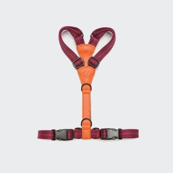 Cloud7 Madeira // Lightweight and functional y-harness (papaya)