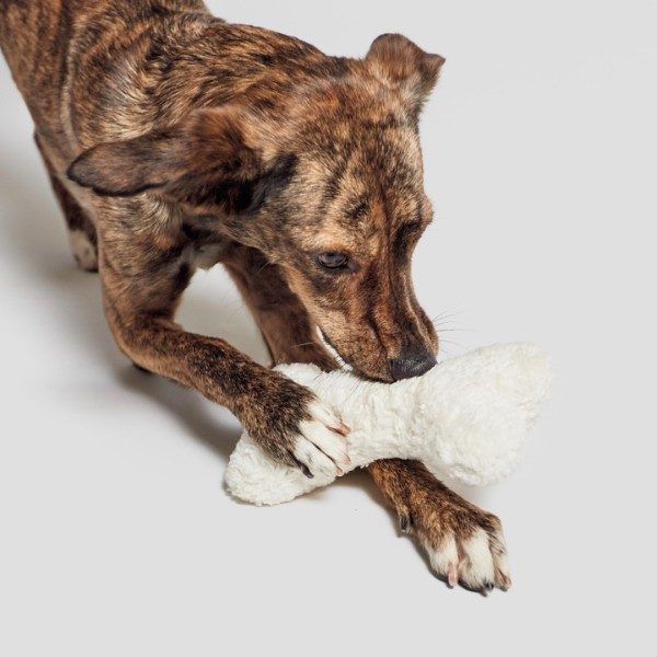 Cloud7 Love Bone // Beautiful and fluffy dog toy