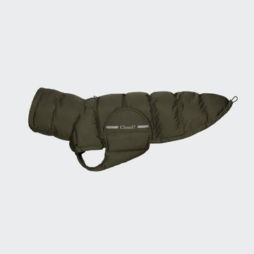 Cloud7 Alaska // Warm dog coat for whippets and greyhounds (olive) (Kopier)