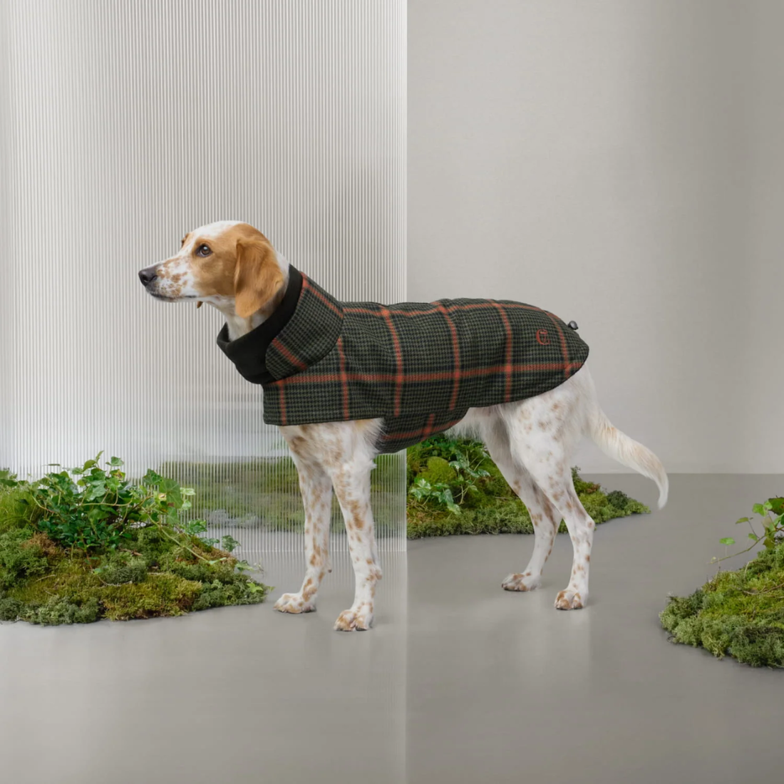 Cloud7 Brooklyn // Warm and water-repellent dog jacket (flannel tartan green)