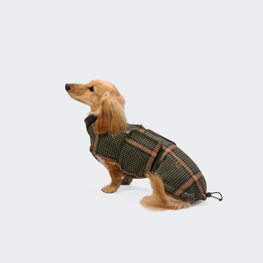 Cloud7 Brooklyn, Dachshund // Warm and Water-Repellent Dog Coat (flannel tartan green)