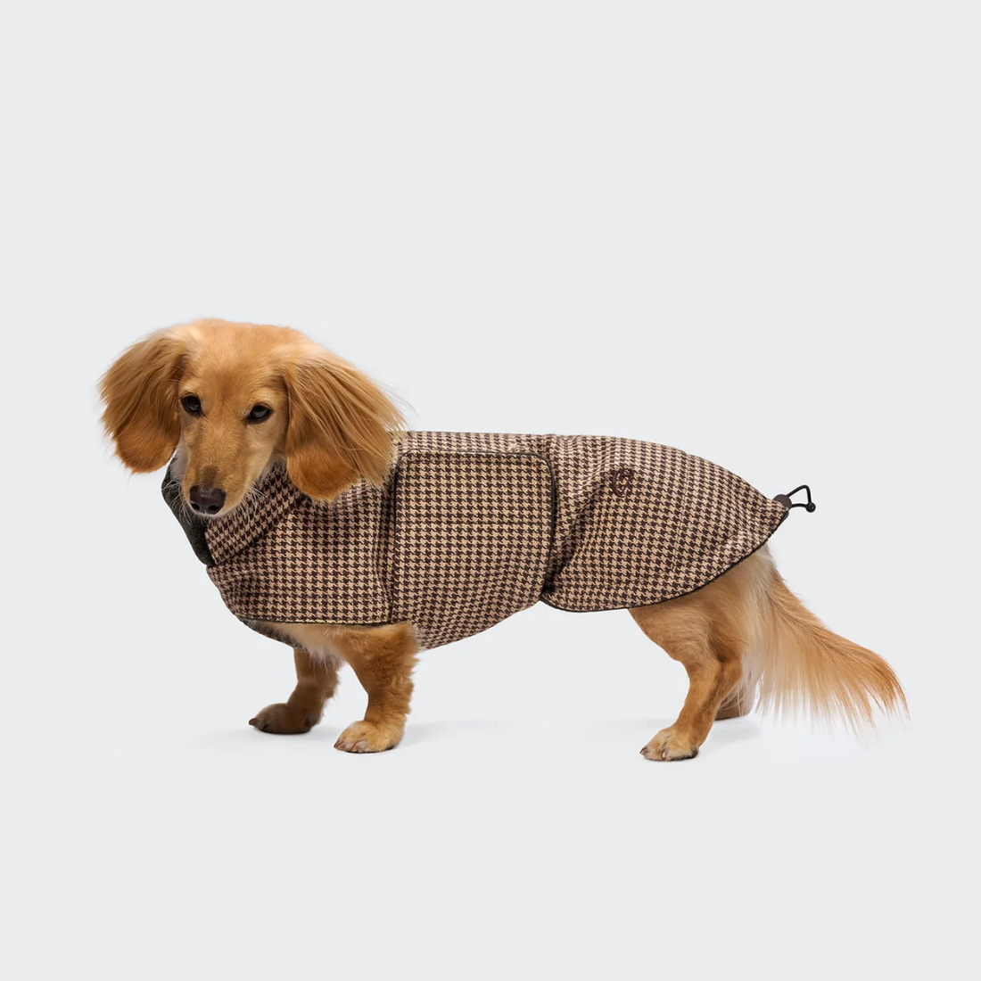 Cloud7 Brooklyn, Dachshund // Warm and Water-Repellent Dog Jacket (houndstooth)