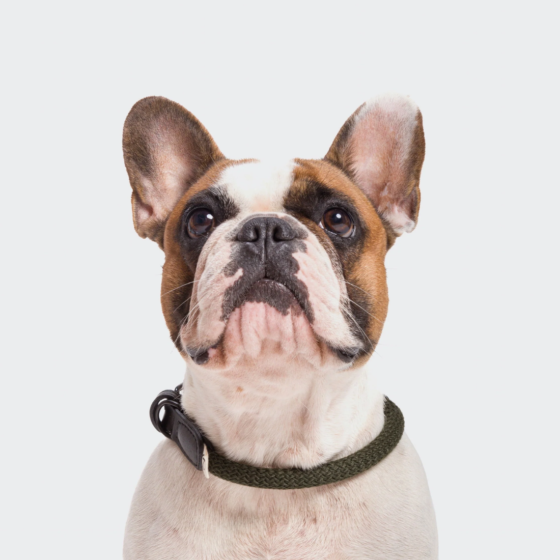 Cloud7 Mauerpark // Rundsyet halsbånd i blødt reb (olive)