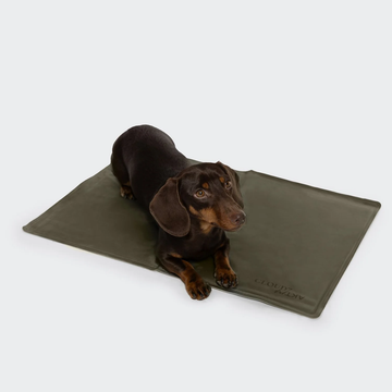 Cloud7 AKTIV Cooling Mat // Selvkølende måtte til varme dage (olive)