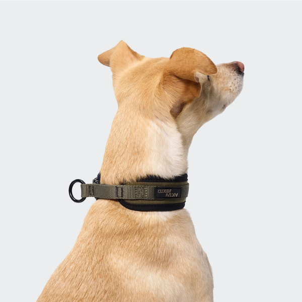 Cloud7 AKTIV Martingale // Bredt og blødt martingale halsbånd (olive)