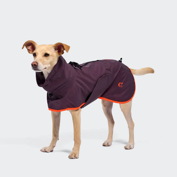 Cloud7 ACTIVE // Water and windproof rain jacket with reflective detailing (aubergine)