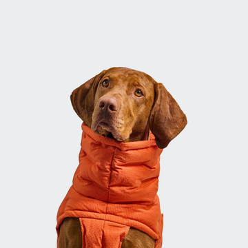 Cloud7 Alaska Seersucker // Ekstra varm vinterjakke til hunde (orange)