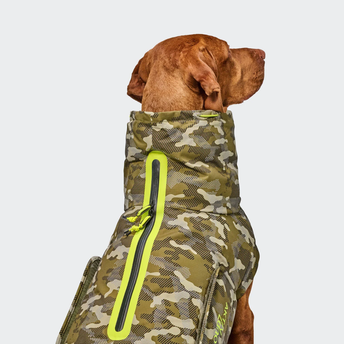 Cloud7 AKTIV Alaska // Varm og vandtæt vinterjakke til hunde (camo)
