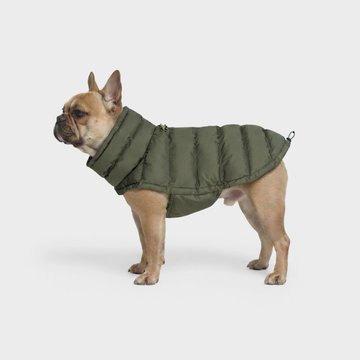 Cloud7 Alaska, Fransk Bulldog // Ekstra varm vinterjakke (light olive)