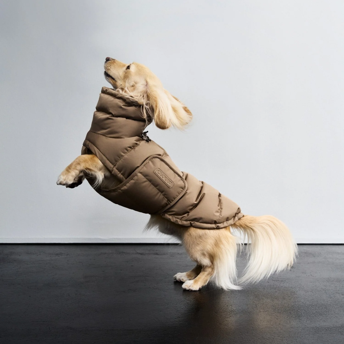 Cloud7 Alaska, Gravhund // Ekstra varm vinterjakke (sandy brown)