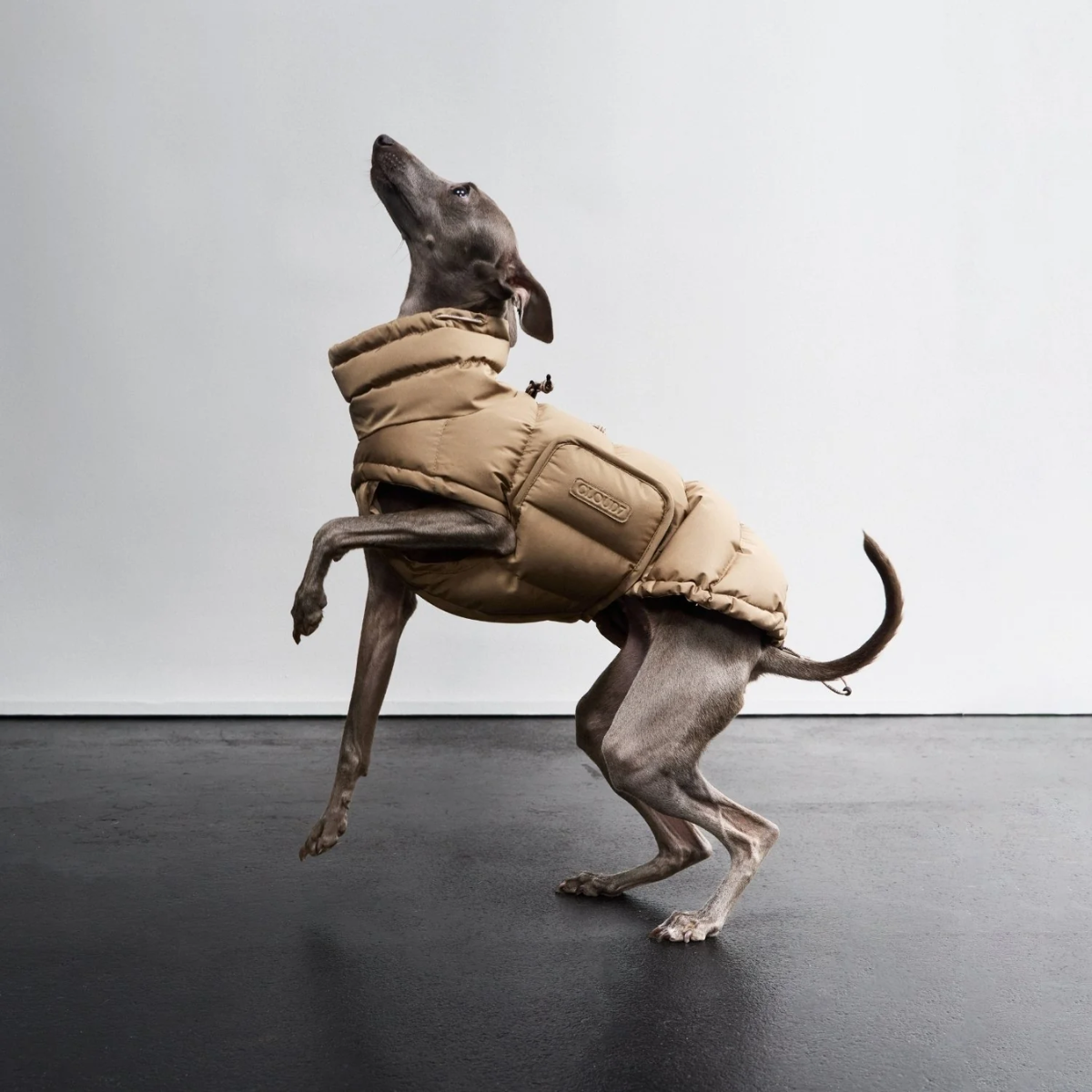Cloud7 Alaska // Ekstra varm vinterjakke til hunde (sandy brown)