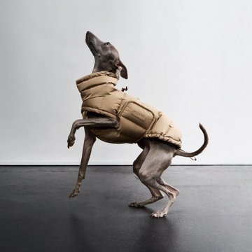 Cloud7 Alaska // Ekstra varm vinterjakke til hunde (sandy brown)