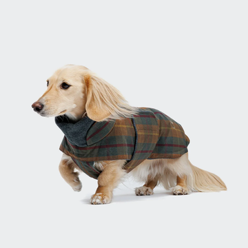 Cloud7 Brooklyn, Gravhund // Varmt og vandafvisende hundedækken (waxed tartan)
