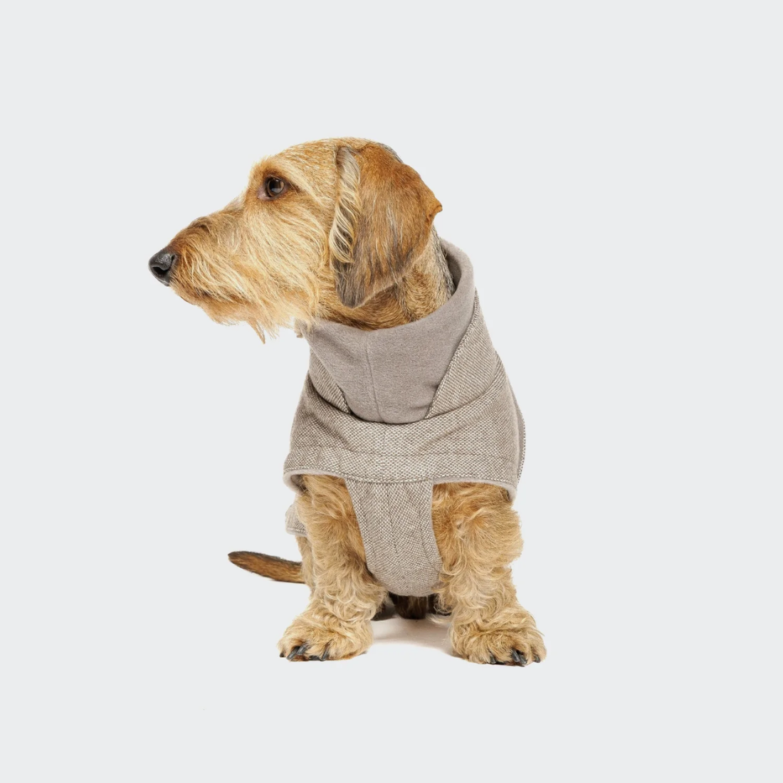 Cloud7 Brooklyn, Dachshund // Warm and water-repellent dog jacket (tweed beige)