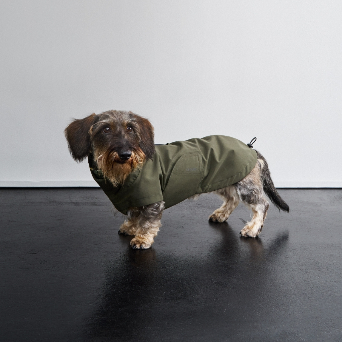 Cloud7 Dublin // Rain jacket for dachshunds (dark olive)