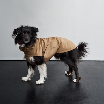 Cloud7 Dublin // Rain jacket for dachshunds (dark olive)