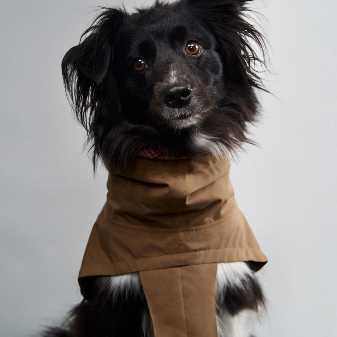 Cloud7 Dublin // Rain jacket for dachshunds (dark olive)