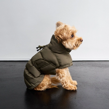 Cloud7 Everest // Meget varm vinterjakke til hunde (light olive)