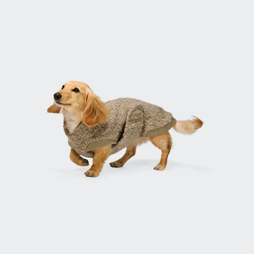 Cloud7 Gotland, Gravhund // Varm og blød hundesweater (sandy brown)