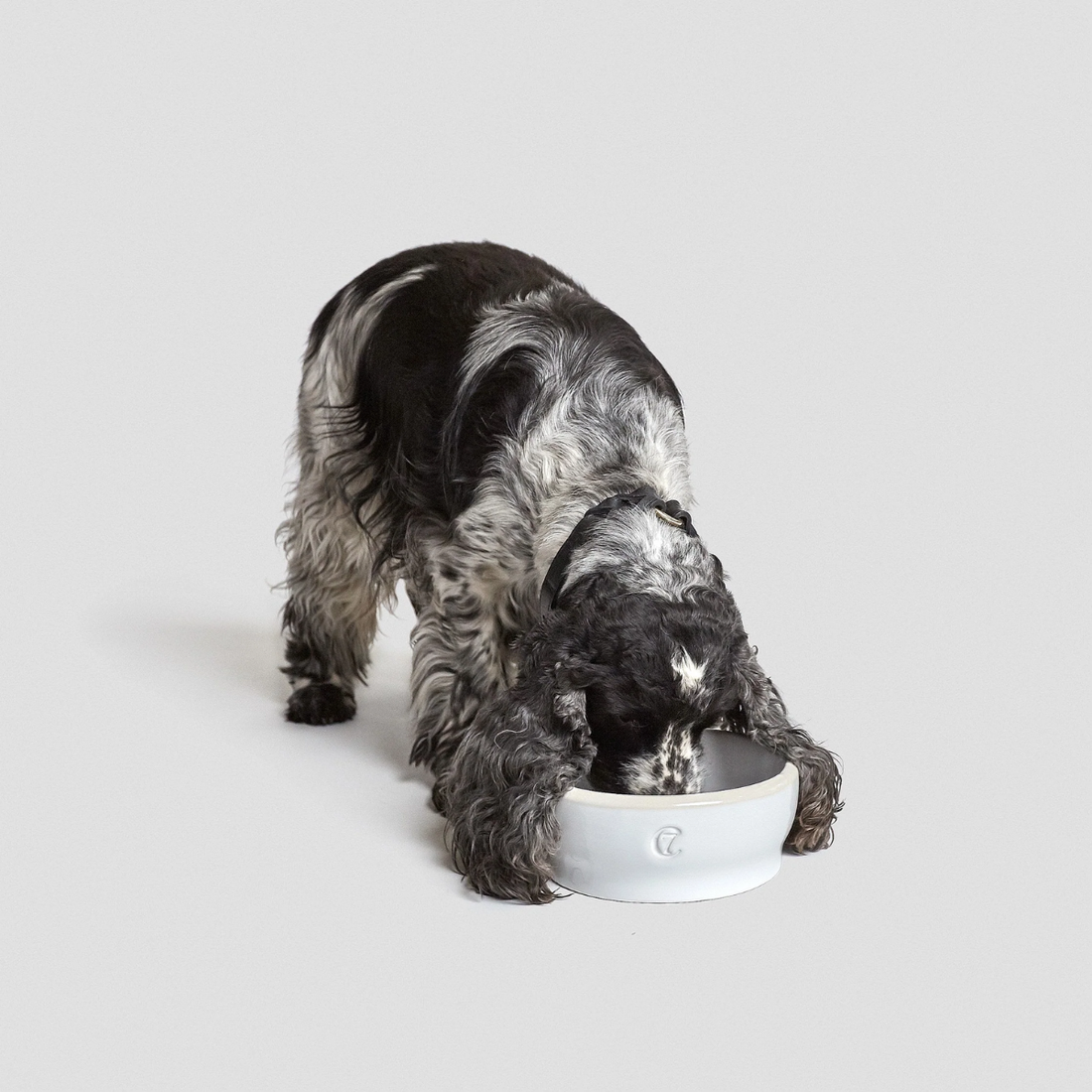 Cloud7 Jamie // Elegant ceramic dog bowl (several sizes) 