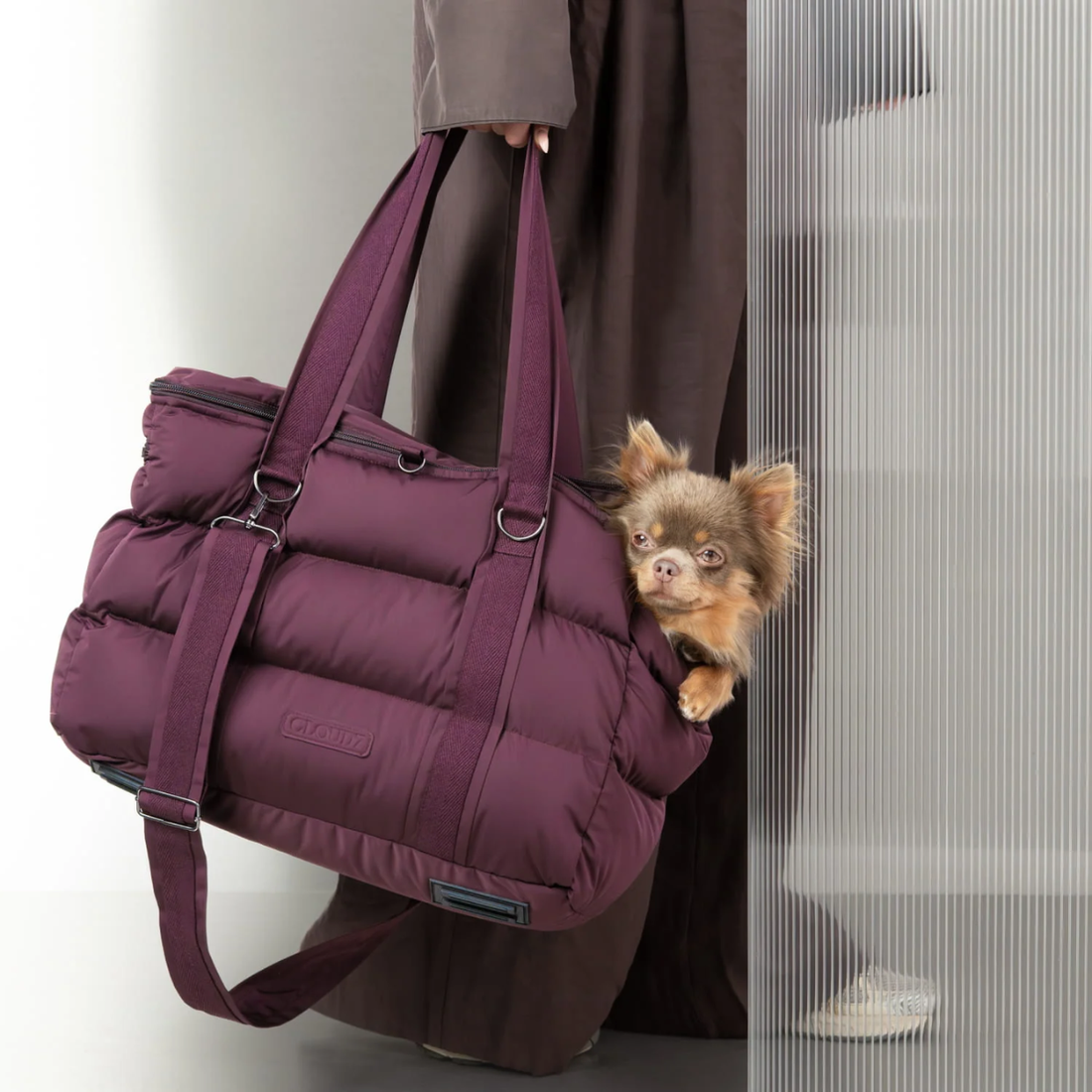 Cloud7 Montreal 2.0 // Water-repellent and lightweight dog carrier (aubergine)