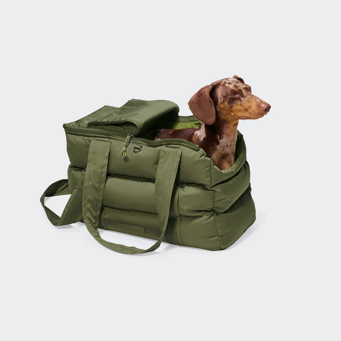 Cloud7 Montreal 2.0 // Water-repellent and lightweight dog carrier (light olive)