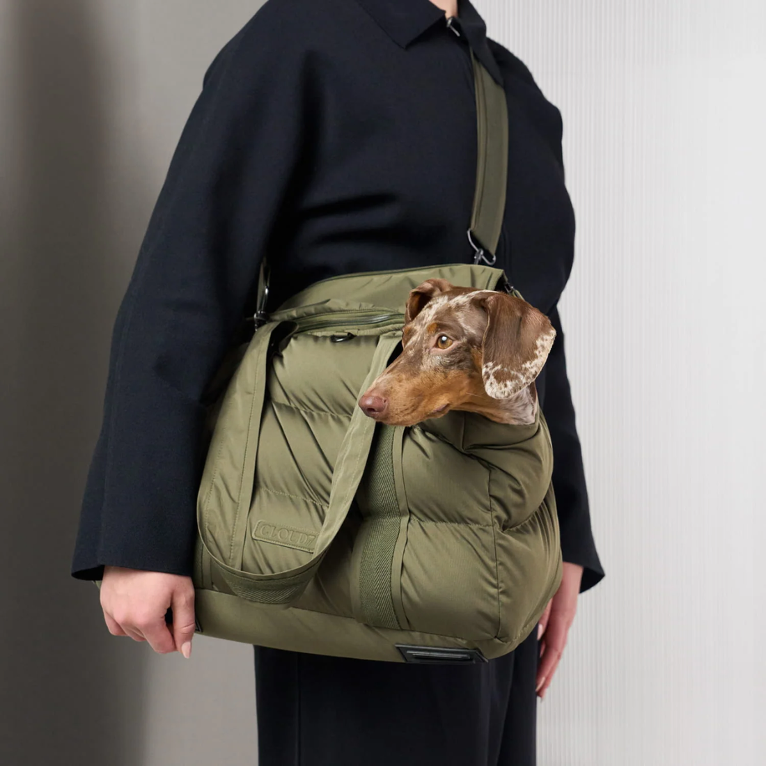 Cloud7 Montreal 2.0 // Water-repellent and lightweight dog carrier (light olive)