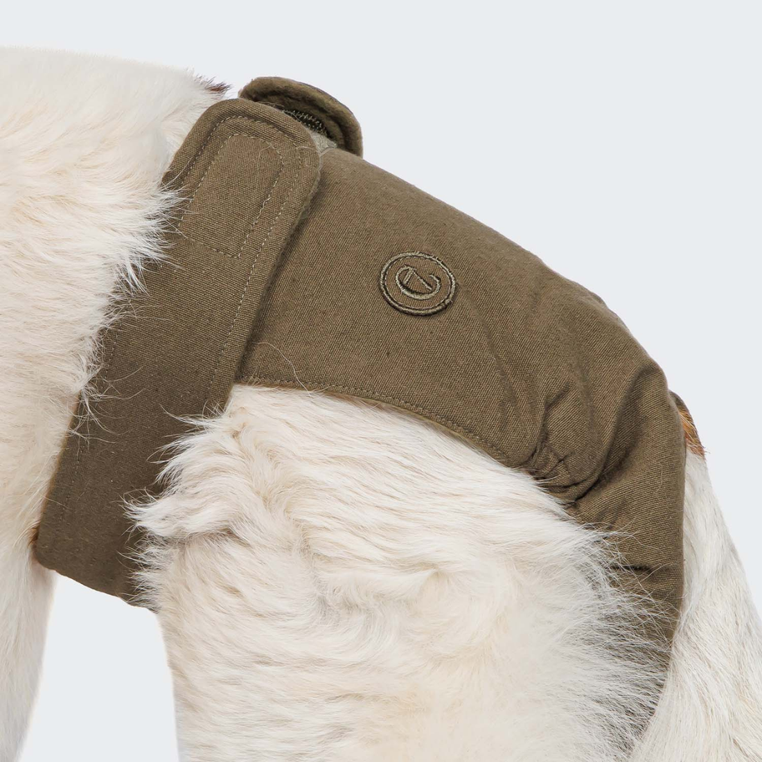 Cloud7 Dog Panties // Løbetidsbukser med god pasform (olive)