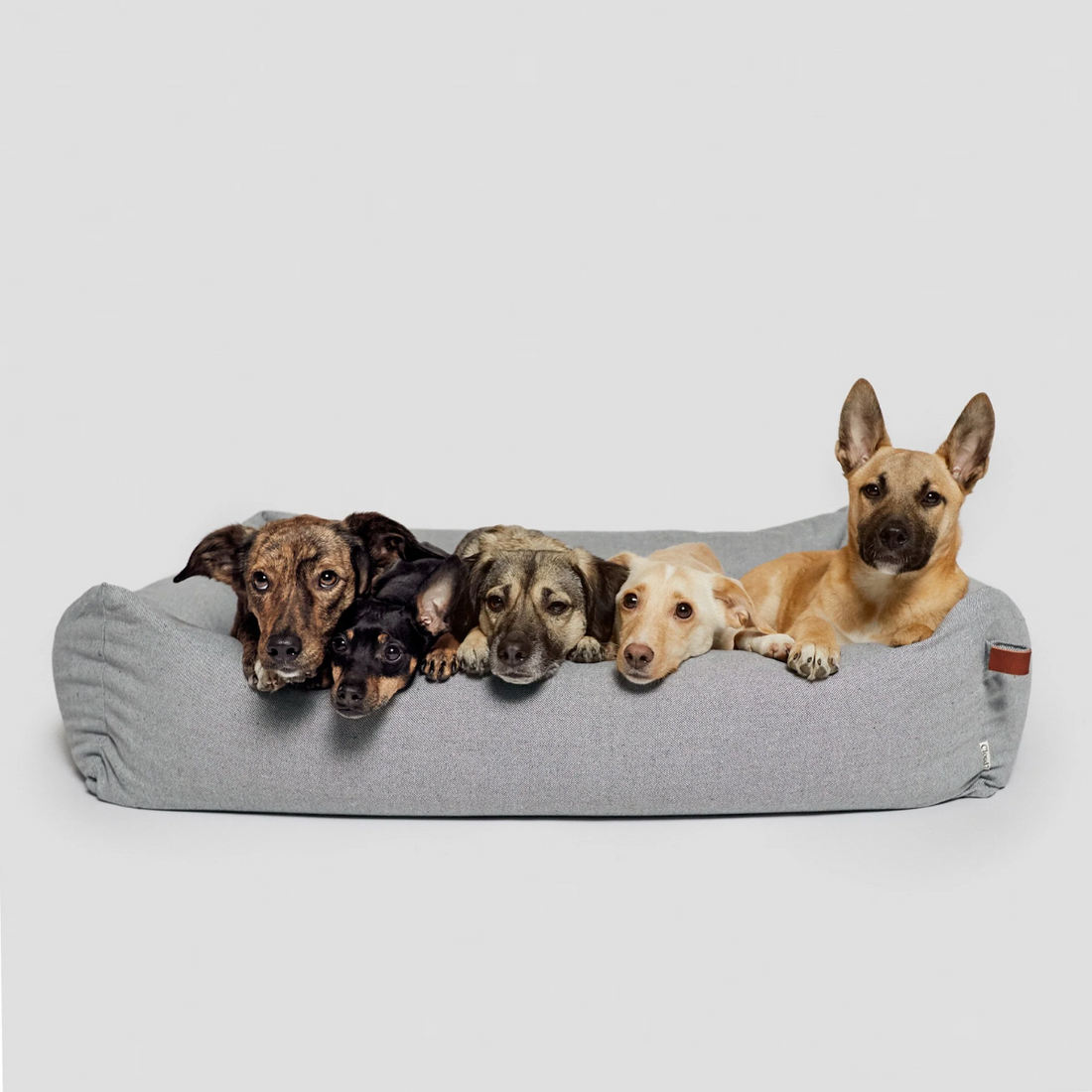 Cloud7 Sleepy Deluxe // Eksklusiv hundeseng i boucle uld (tweed grey)