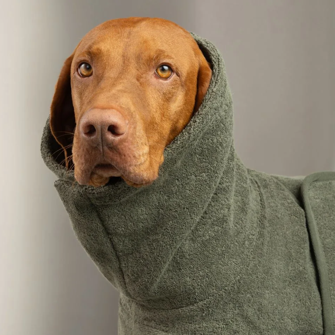Cloud7 Wannsee Bathrope // Absorbent bathrobe for dogs (sage)