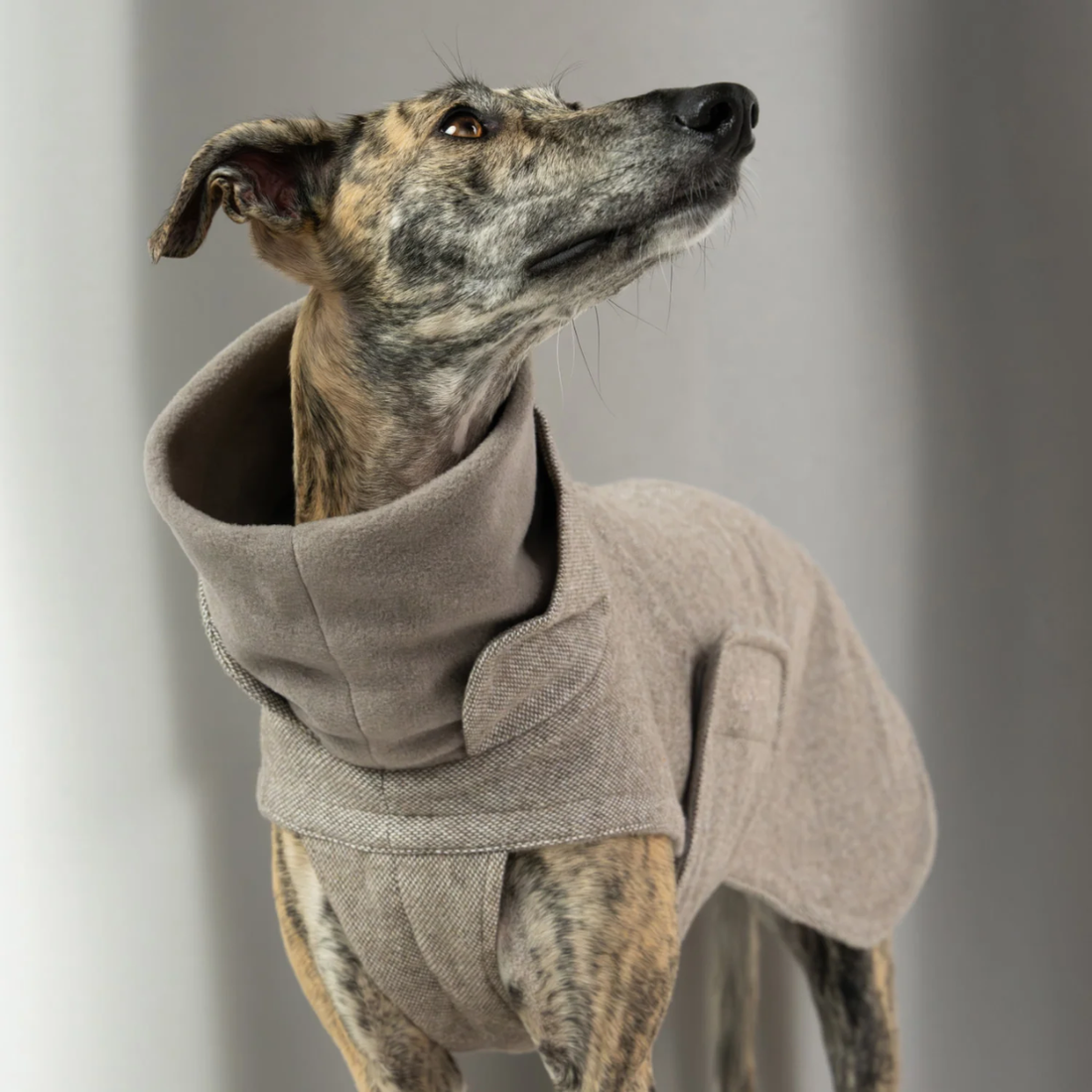 Cloud7 Brooklyn Long, Mynde // Varmt og vandafvisende hundedækken (tweed beige)