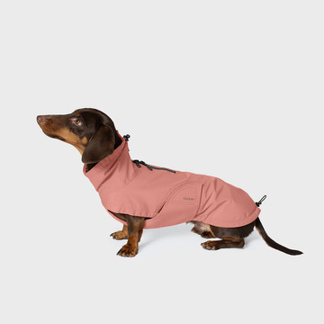 Cloud7 Dublin 2.0, Dachshund // Water and windproof rain jacket (yellow)