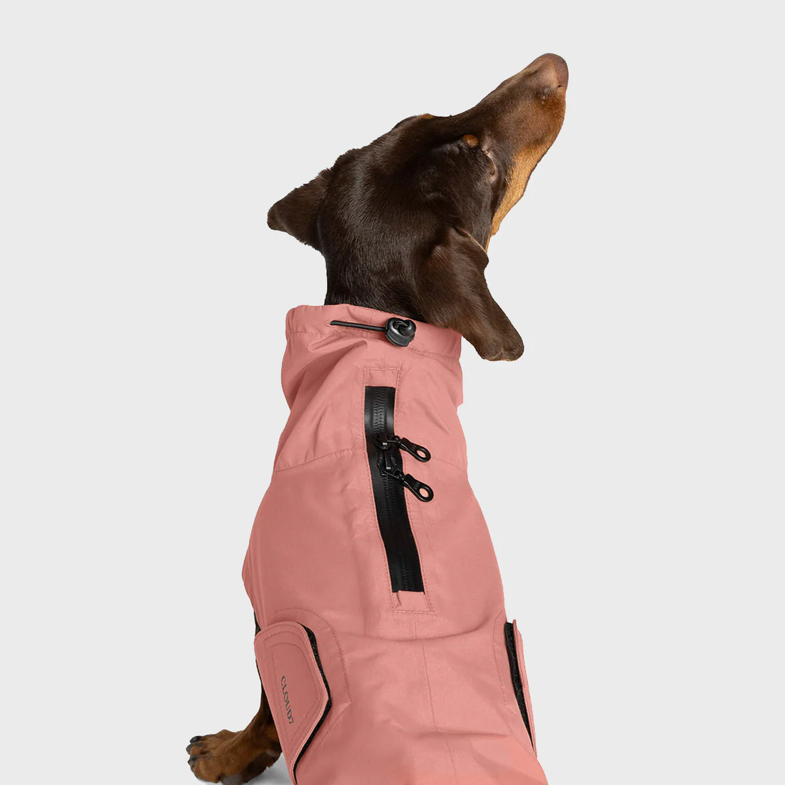 Cloud7 Dublin 2.0, Dachshund // Water and windproof rain jacket (yellow)