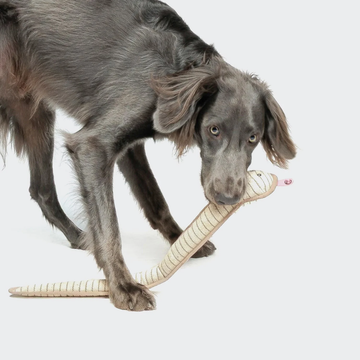 Cloud7 Snake Smilla // Holdbar hundebamse med piv (60 cm)