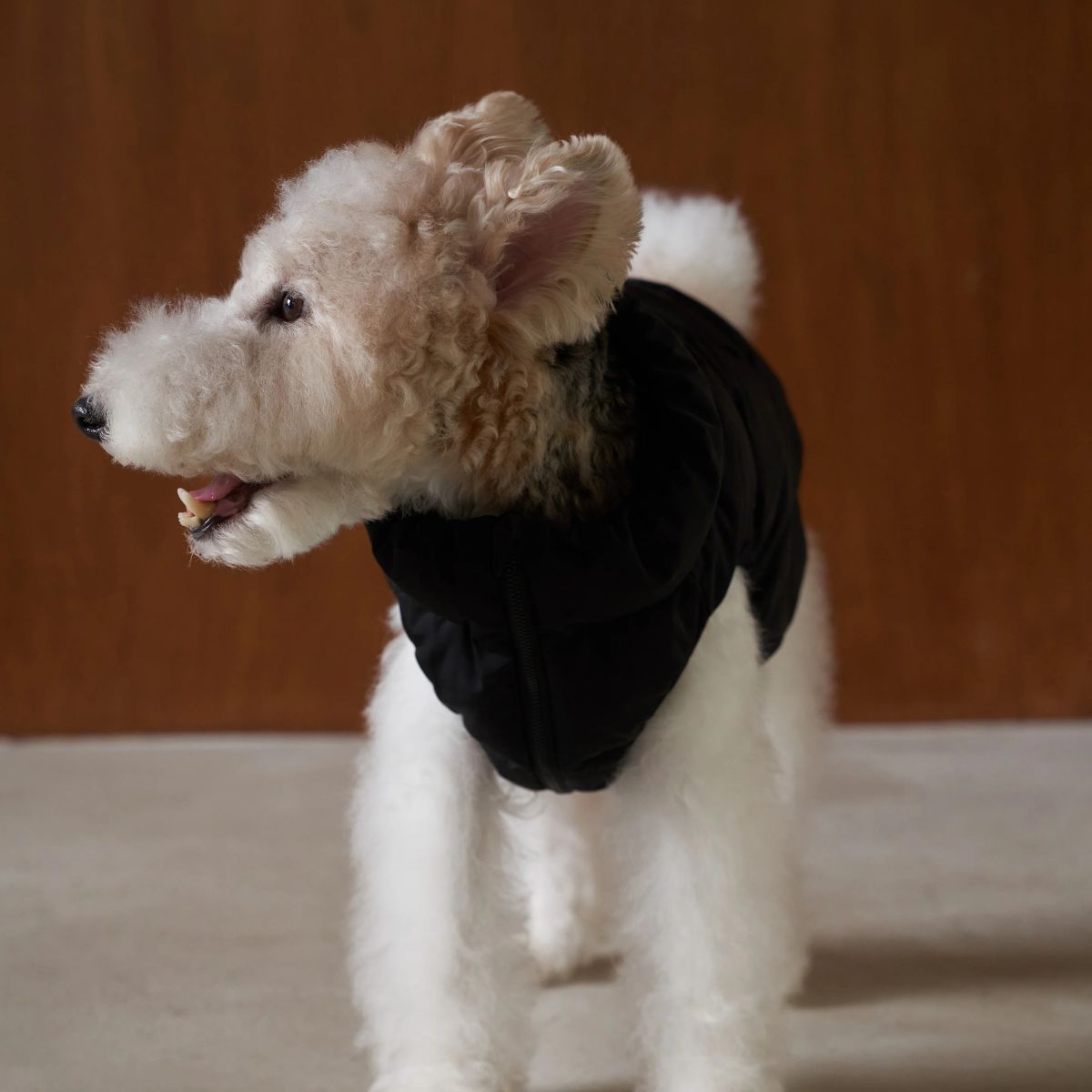 Cushycushy Vest // Dog jacket that doesn't go over the head (iceberg green)