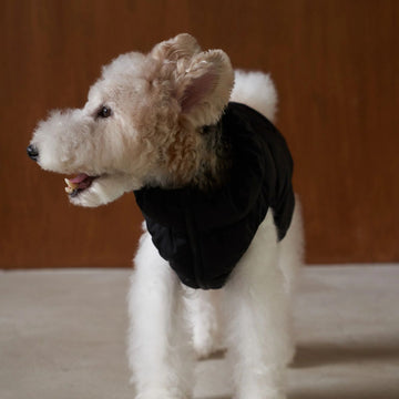 Cushycushy Vest // Dog jacket that doesn't go over the head (iceberg green)
