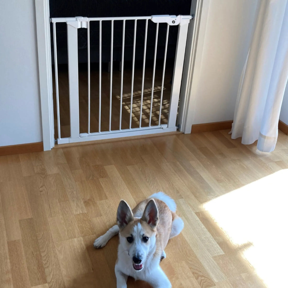 Dogspace Hvid // Brugervenlig hundegitter til dørkarm (2 størrelser)