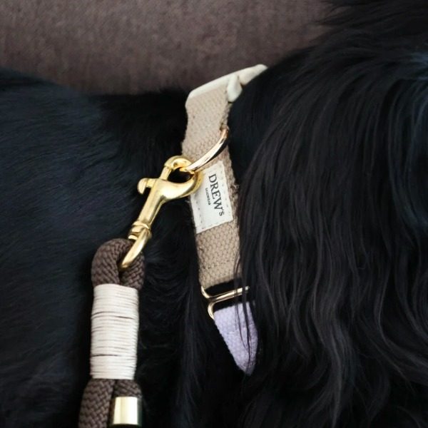 Drew's Dogwear Lavender // Adjustable collar (purple/beige)