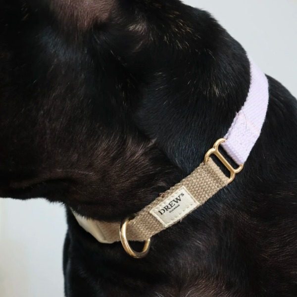 Drew's Dogwear Lavender // Adjustable collar (purple/beige)