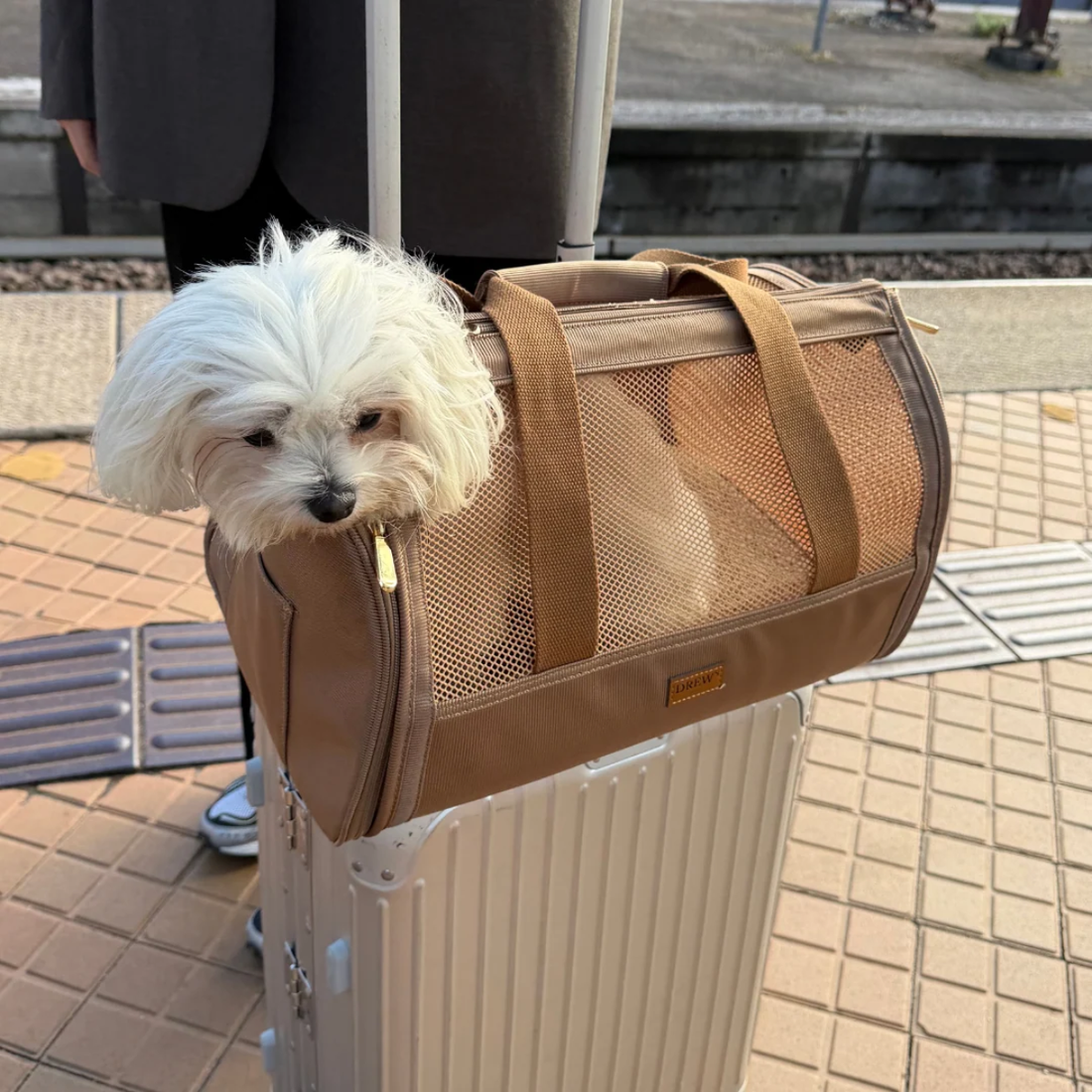 Drew's Dogwear Atlas // Flytaske til små hunde (brun)